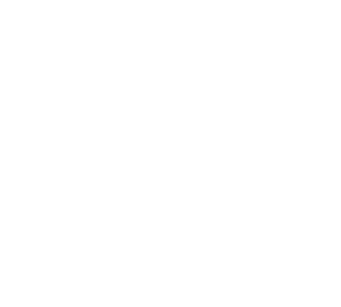 lifetime warranty icon